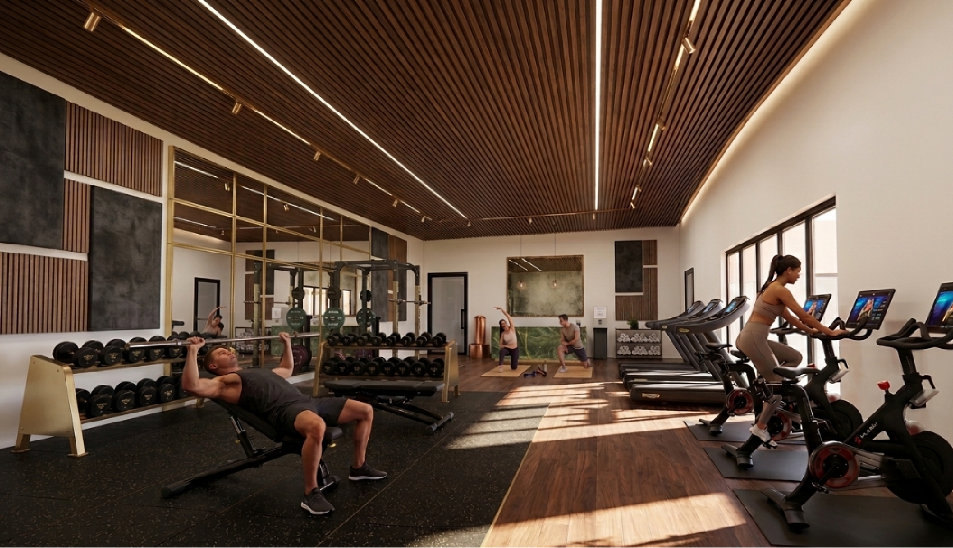 Wellness & Gym Studio
